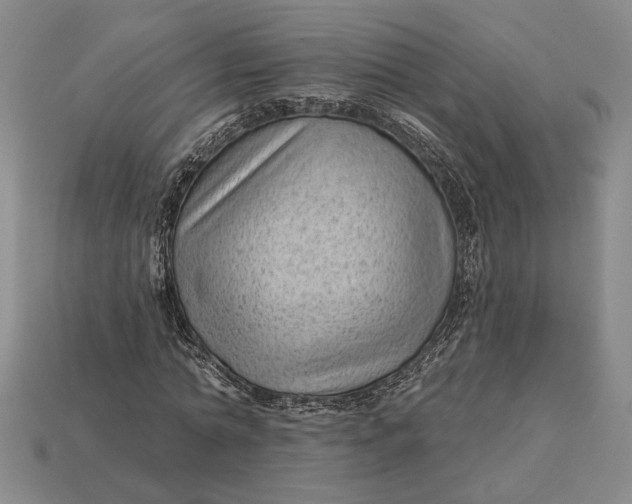 X0000112980774200909171337