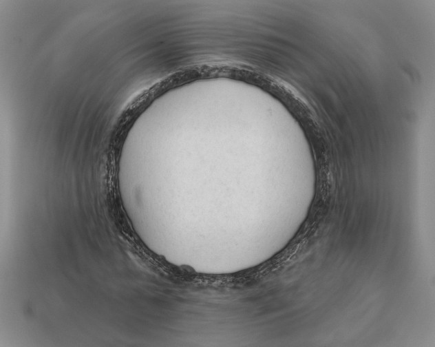 X0000112980775200909171337