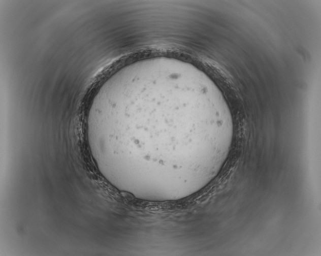 X0000112980776200909171337