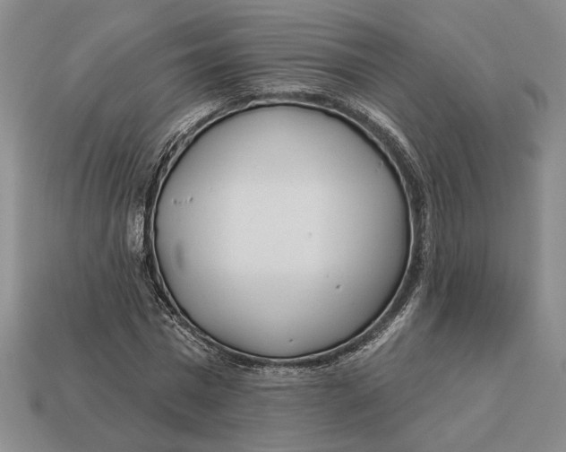 X0000112980777200909171337