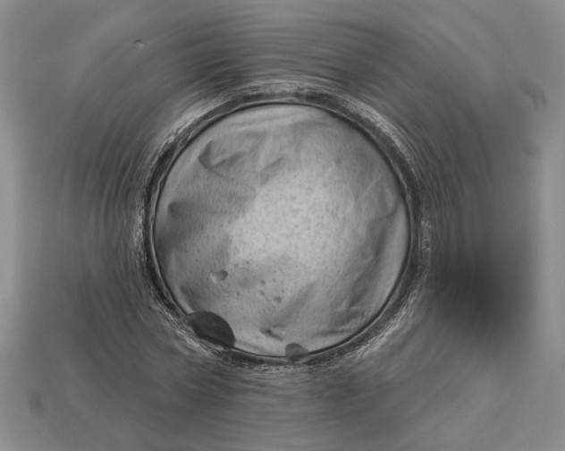 X0000112980778200909171337