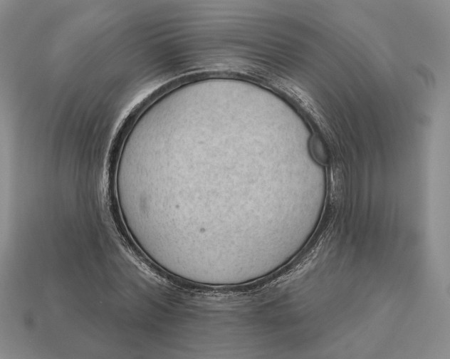 X0000112980780200909171337