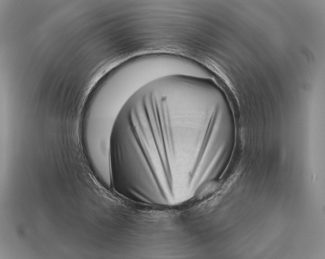 X0000112980781200909171337