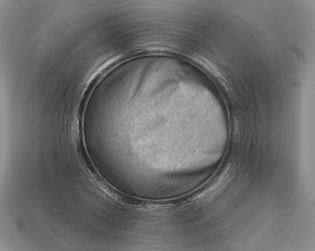 X0000112980782200909171337