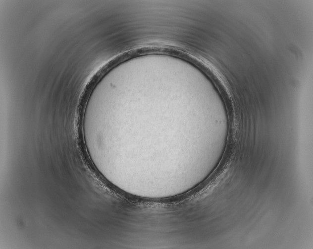 X0000112980783200909171337