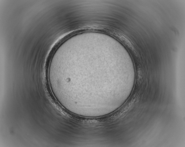 X0000112980784200909171337