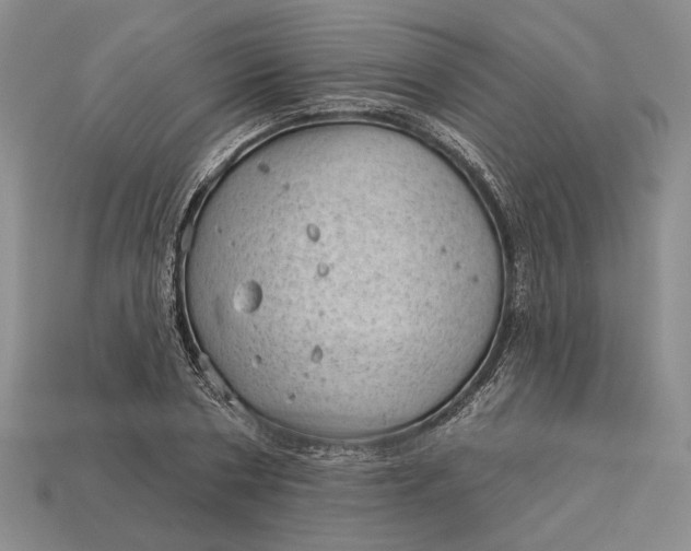 X0000112980786200909171337