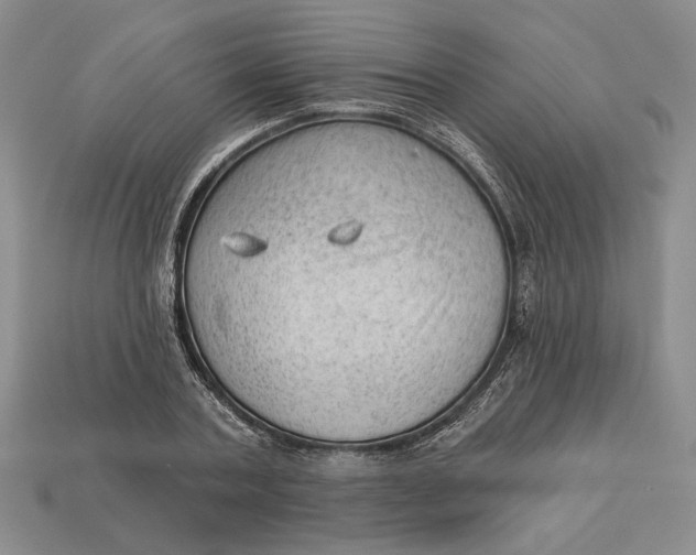 X0000112980787200909171337