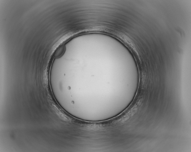 X0000112980789200909171337