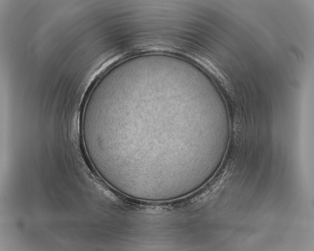 X0000112980790200909171337