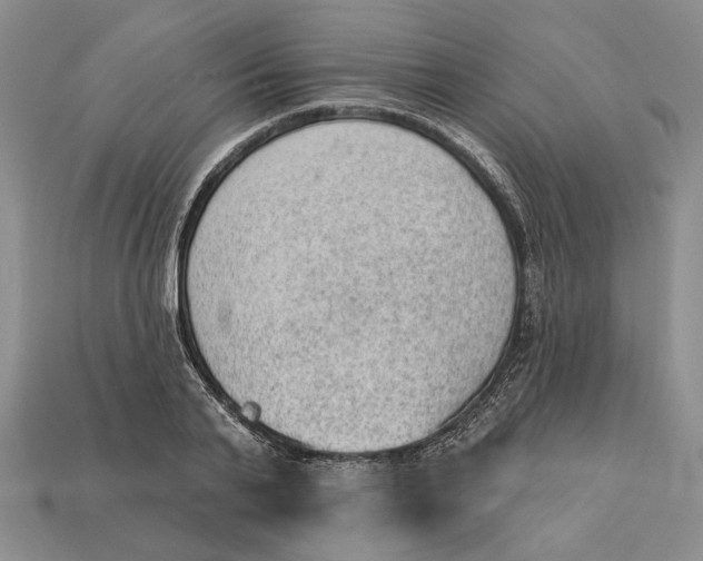 X0000112980791200909171337