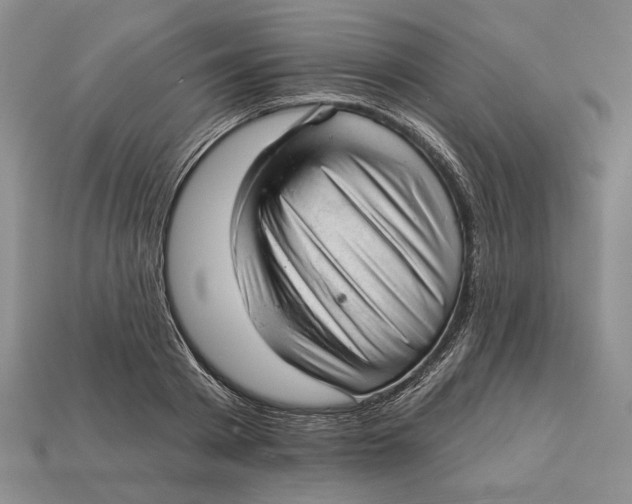 X0000112980793200909171337