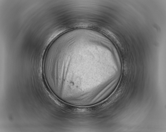 X0000112980794200909171337