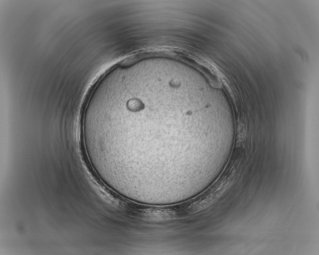 X0000112980795200909171337