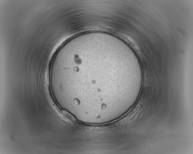 X0000112980796200909171337