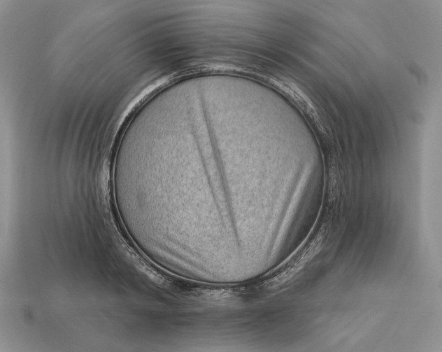 X0000112980798200909171337