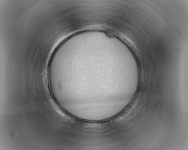 X0000112980800200909171337