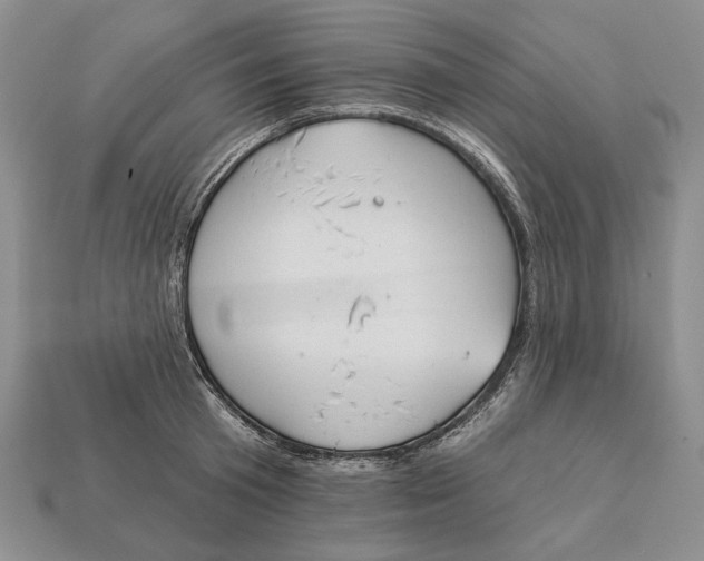 X0000112980801200909171337