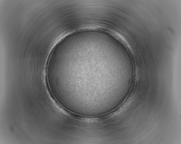 X0000112980802200909171337