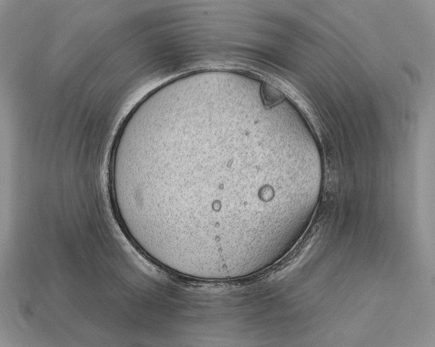 X0000112980803200909171337