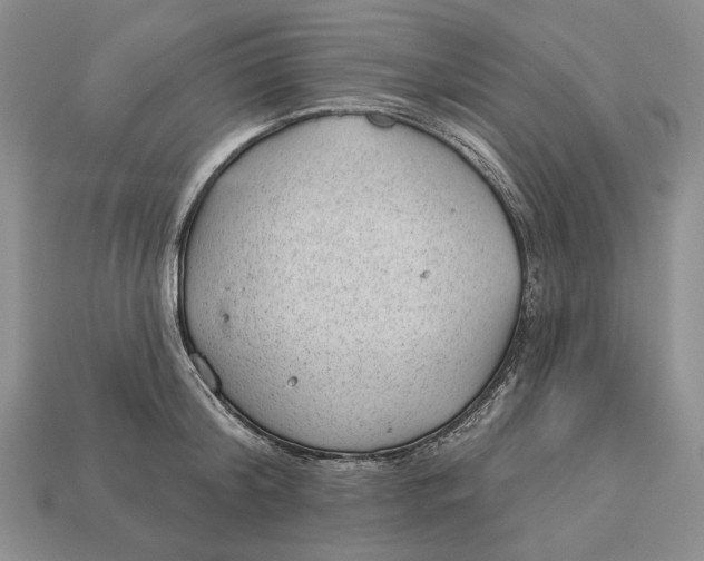 X0000112980804200909171337