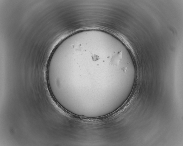 X0000112980805200909171337