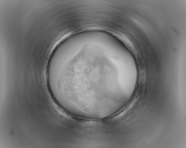 X0000112980806200909171337