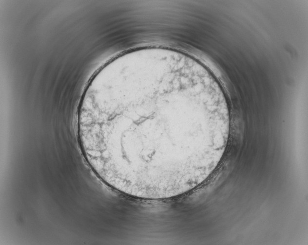 X0000112980807200909171337