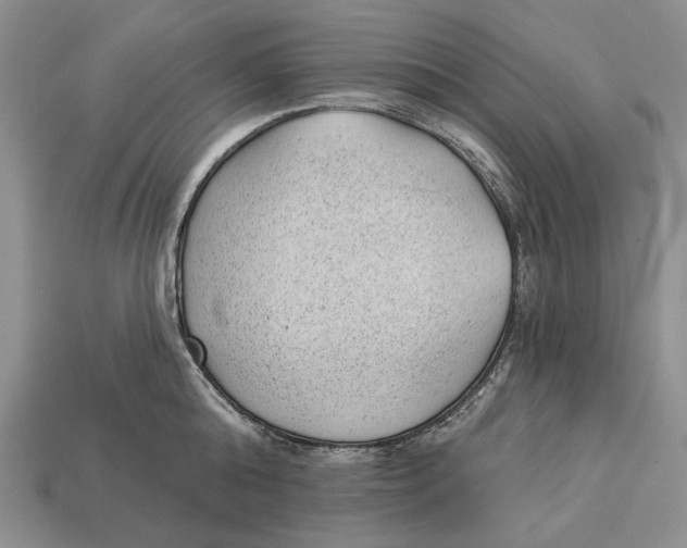 X0000112980808200909171337