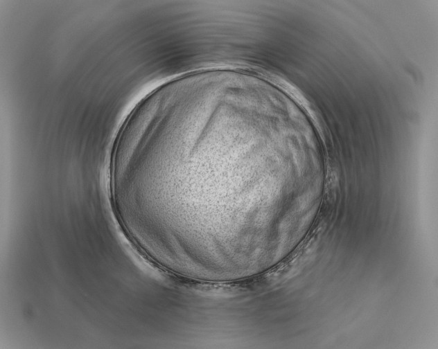 X0000112980811200909171337