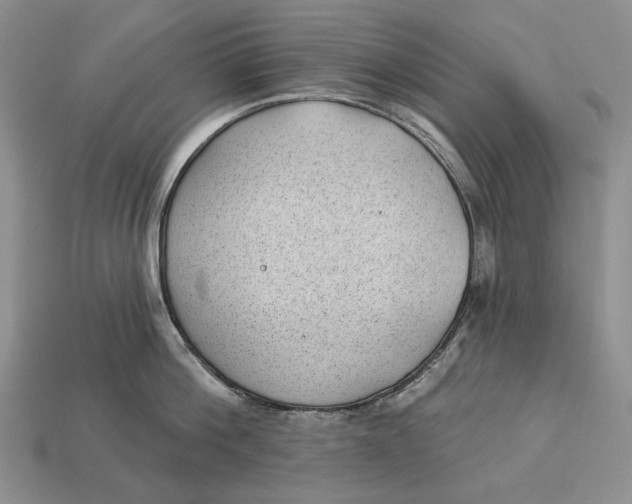 X0000112980812200909171337