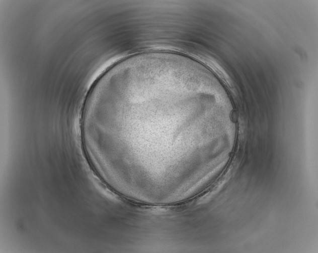 X0000112980814200909171337