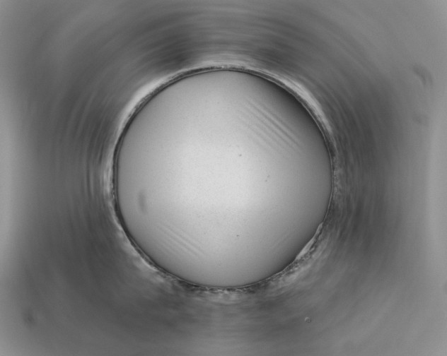 X0000112980815200909171337