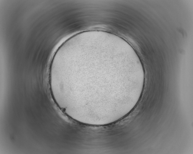 X0000112980816200909171337