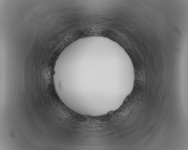 X0000112980818200909171336