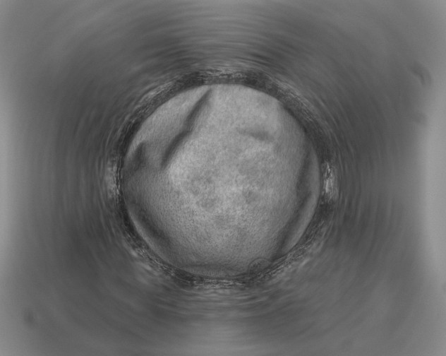 X0000112980819200909171336