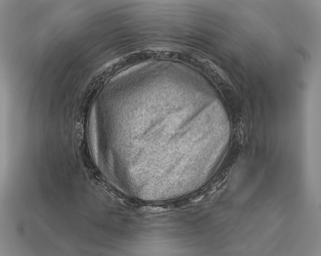 X0000112980821200909171336