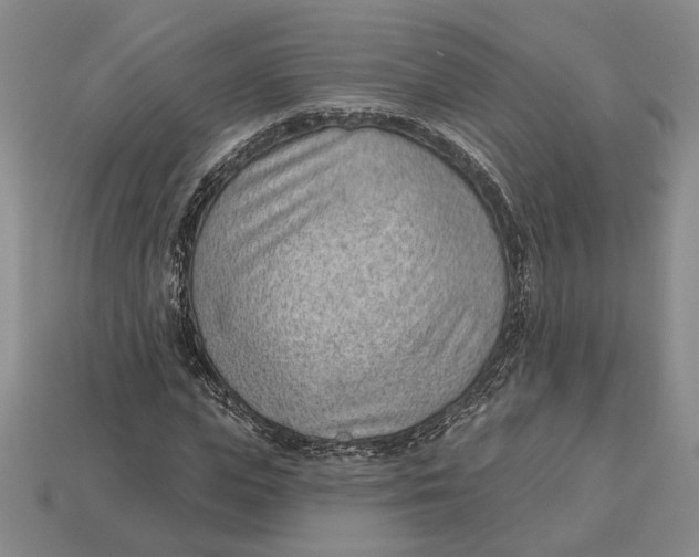 X0000112980823200909171336