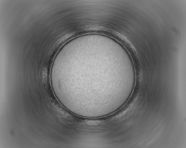 X0000112980825200909171336