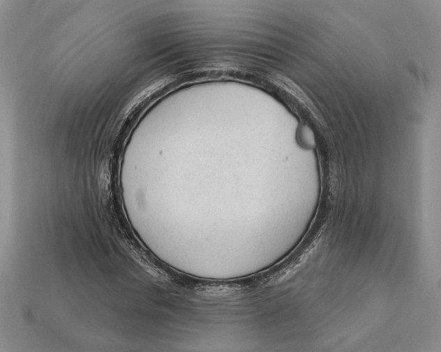 X0000112980826200909171336