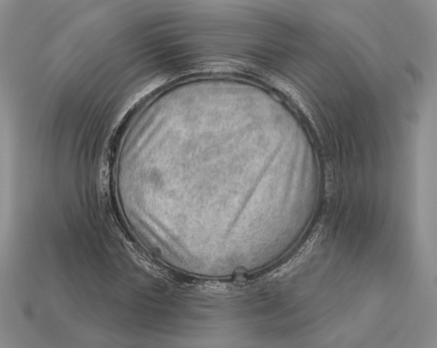 X0000112980827200909171336