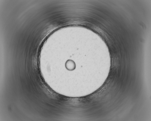 X0000112980828200909171336