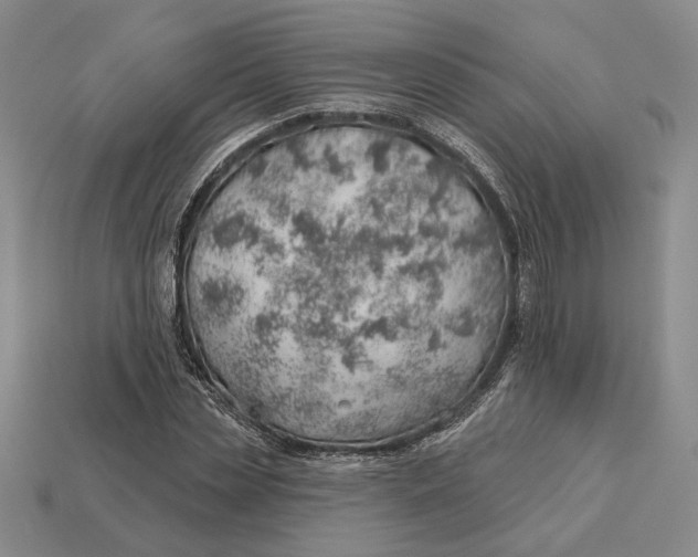 X0000112980829200909171336