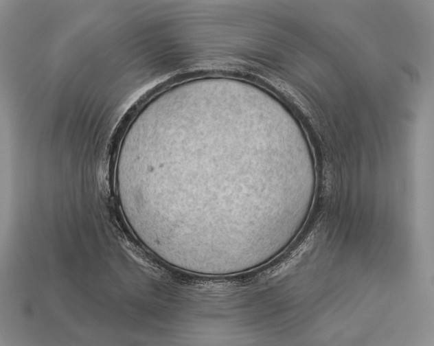 X0000112980830200909171336