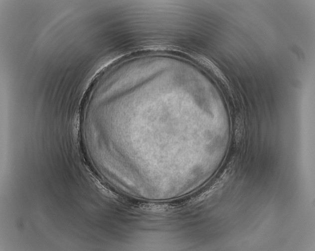 X0000112980831200909171336