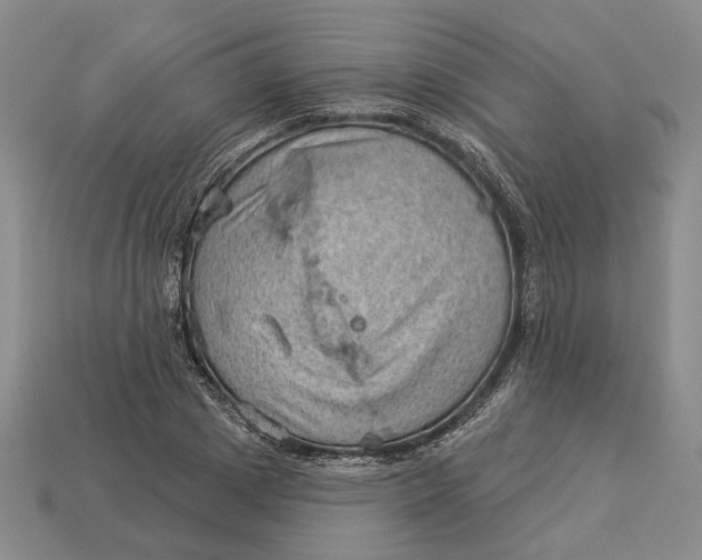 X0000112980833200909171337