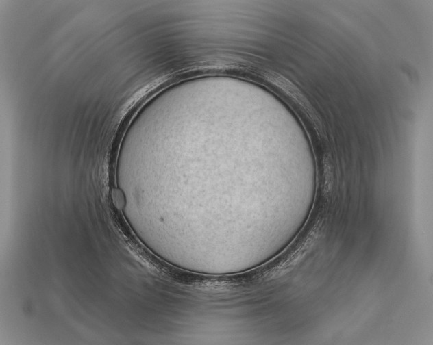 X0000112980834200909171337