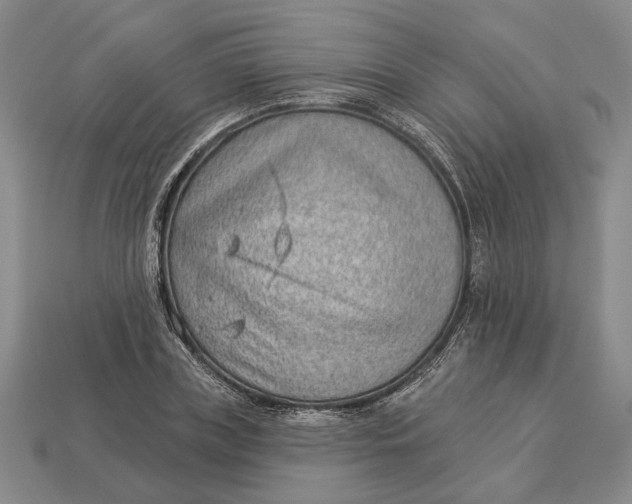 X0000112980835200909171337