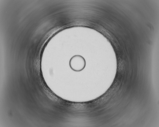 X0000112980836200909171337