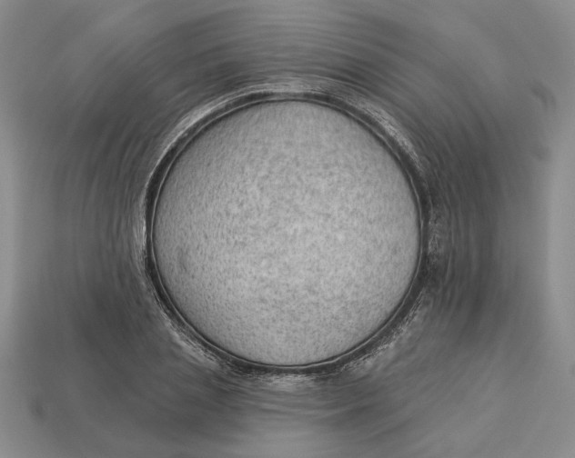 X0000112980837200909171337